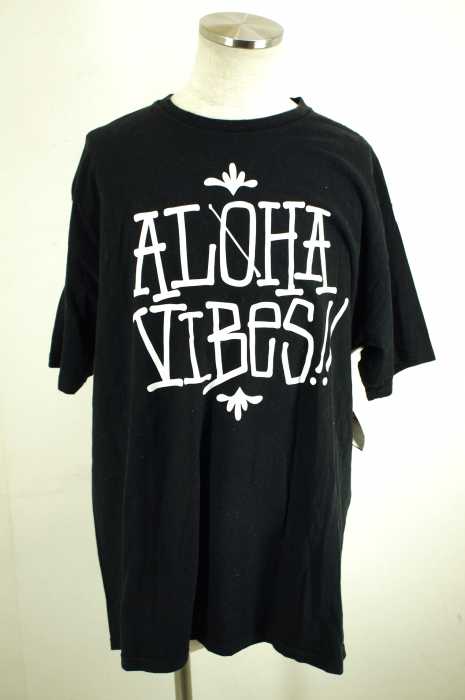STUSSY (ステューシー) プリントTシャツ メンズ トップス