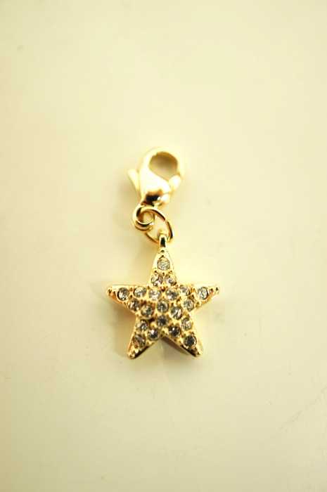 SWAROVSKI （スワロフスキ） スターチャーム ネックレストップ レディース アクセサリー
