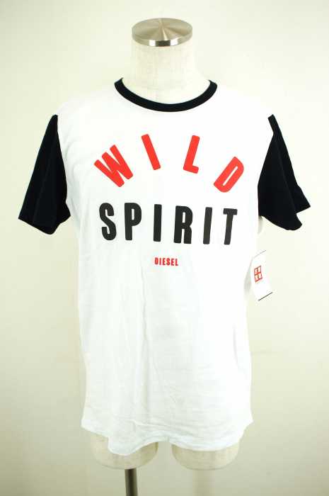DIESEL （ディーゼル） WILD SPIRIT 袖切替プリントTシャツ メンズ トップス