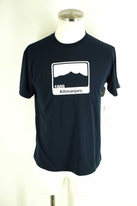 THE NORTH FACE （ザノースフェイス） CONQUER TEE コンカーティー メンズ トップス