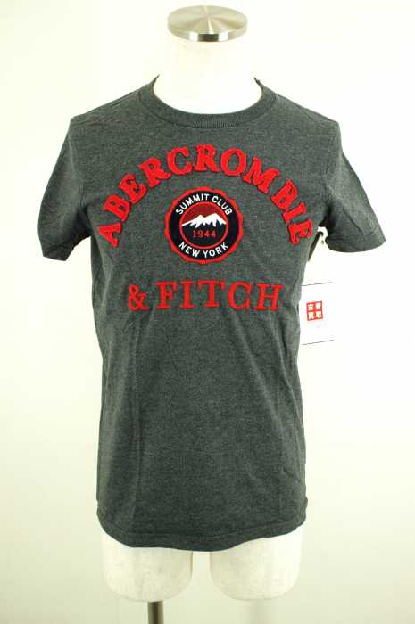 Abercrombie & Fitch （アバクロンビーアンドフィッチ） フェルトワッペン付きTシャツ メンズ トップス
