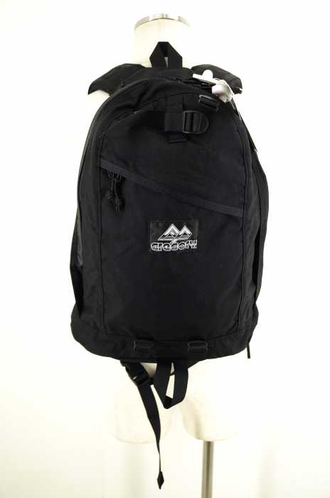 GREGORY×BEAMS PLUS (グレゴリー×ビームスプラス) 別注 DAY PACK　バックパック メンズ バッグ