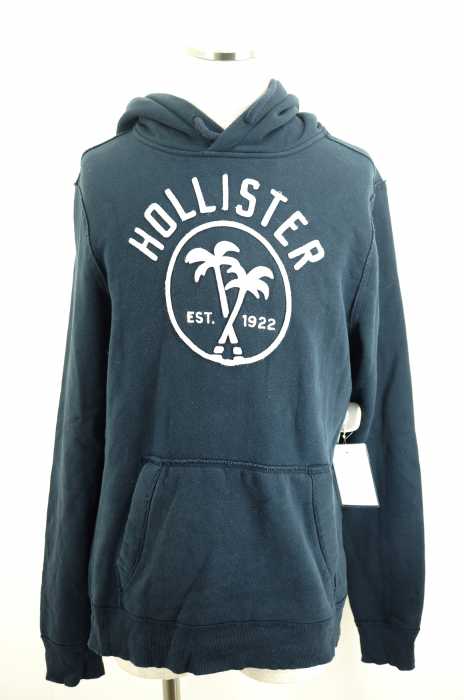 Hollister （ホリスター） フェルト刺繍フードパーカー メンズ トップス