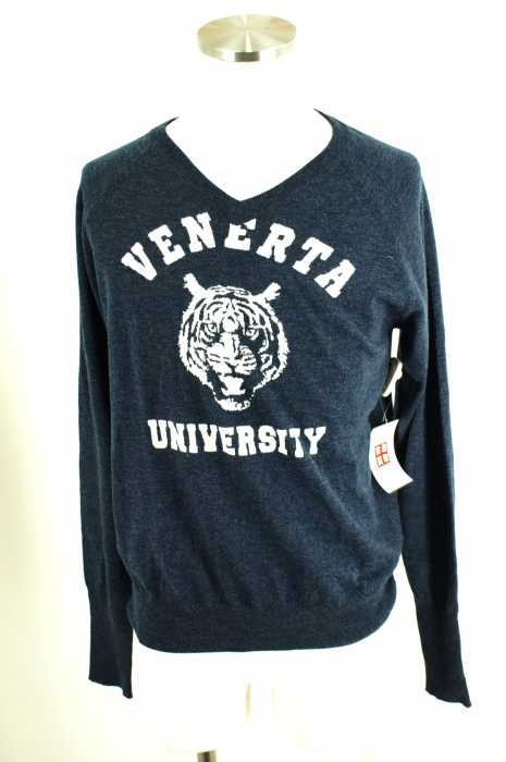 VENERTA knitwear (ヴェネルタニットウェア) Vネックニットトップス メンズ トップス