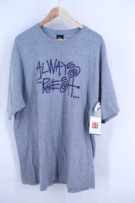 STUSSY （ステューシー） ALWAYS FRESH プリントTシャツ メンズ トップス