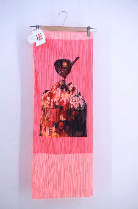 PLEATS PLEASE ISSEY MIYAKE(プリーツプリーズイッセイミヤケ) 転写プリントプリーツスカート レディース スカート
