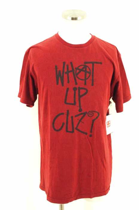 STUSSY （ステューシー） 刺繍コットンTシャツ メンズ トップス