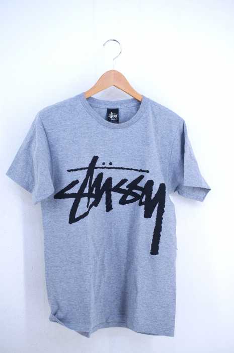 STUSSY (ステューシー) ロゴプリントTシャツ メンズ トップス