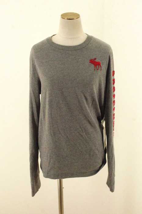 Abercrombie & Fitch (アバクロンビーアンドフィッチ) 刺繍カットソー レディース トップス