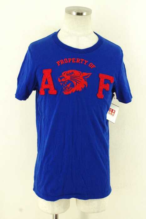 Abercrombie & Fitch （アバクロンビーアンドフィッチ） 刺繍デザイン半袖Tシャツ メンズ トップス