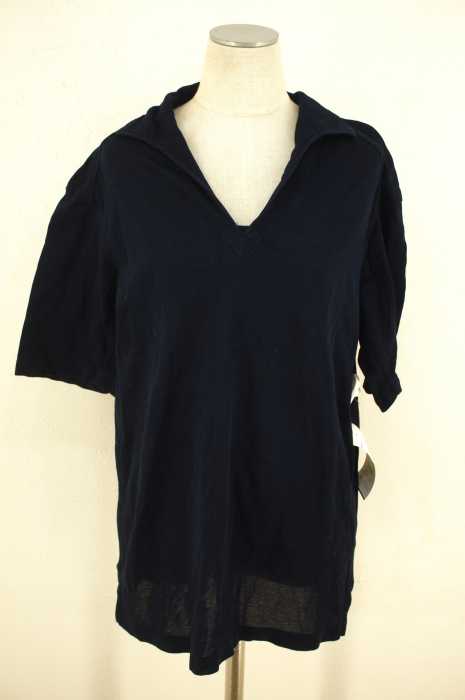 DRESSTERIOR （ドレステリア） スキッパーポロシャツ レディース トップス