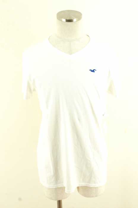 Hollister （ホリスター） 刺繍Tシャツ メンズ トップス