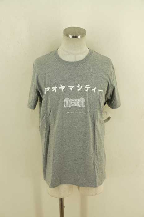MR.GENTLEMAN （ミスタージェントルマン） アオヤマシティープリントTシャツ メンズ トップス