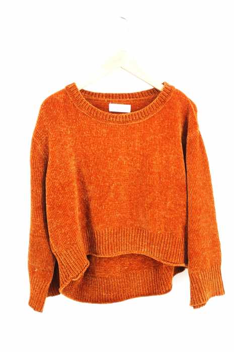 SIMPLICITE （シンプリシテェ） ベロアプルオーバー レディース トップス