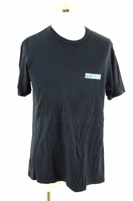 patagonia （パタゴニア） 半袖プリントTシャツ メンズ トップス