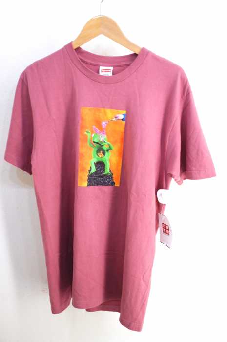 Supreme （シュプリーム） MIKE HILL Brains Tee メンズ トップス