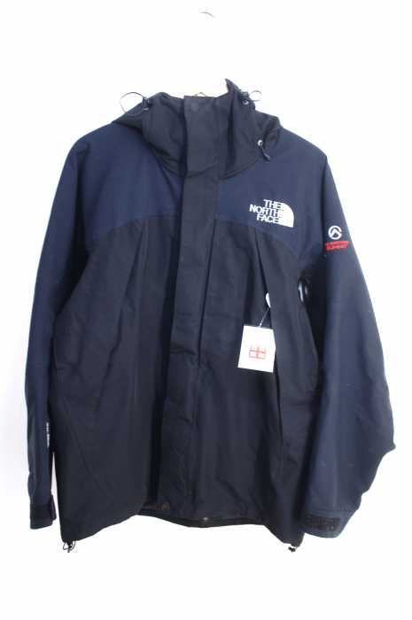 THE NORTH FACE (ザノースフェイス) SUMMITシリーズ GORE-TEX マウンテンパーカー メンズ アウター