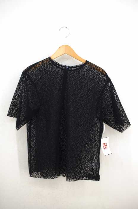 DRESSTERIOR （ドレステリア） チュールレースシャツ レディース トップス