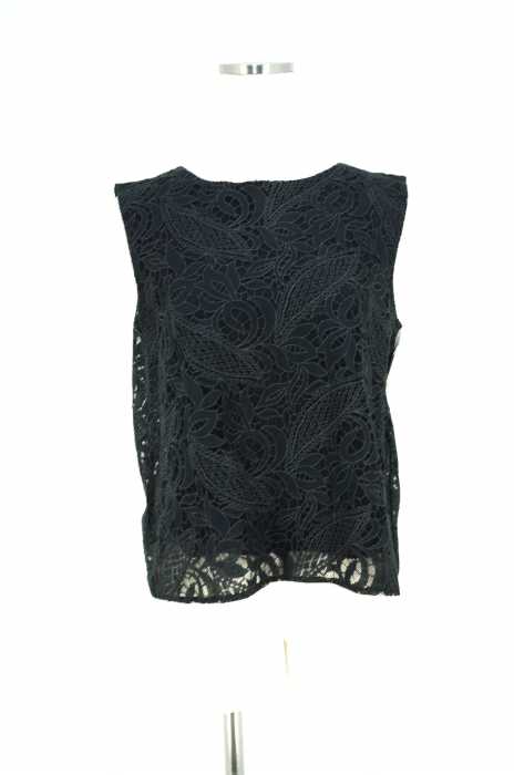 SIMPLICITE (シンプリシテェ) 16SS オパールチュールレーストップス レディース トップス