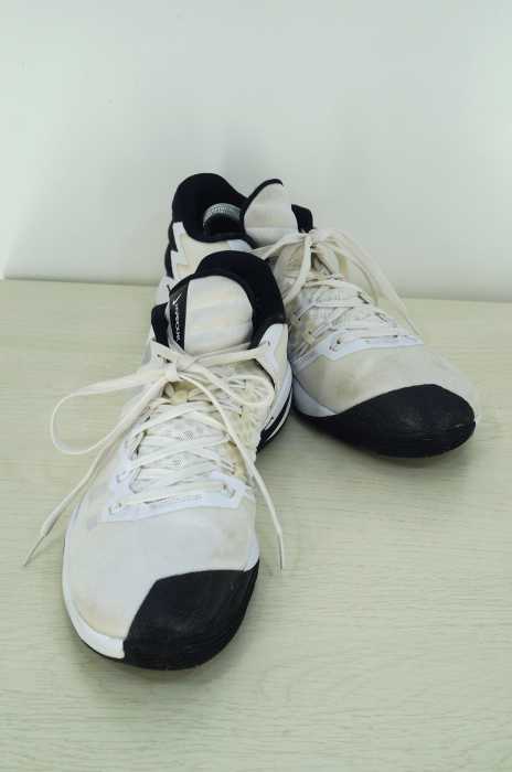 NIKE （ナイキ） ハイパーダンク 2016 LOW EP メンズ シューズ