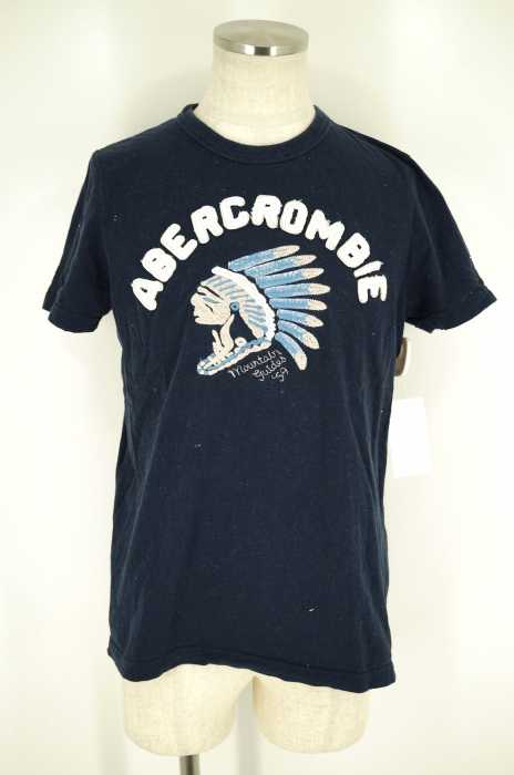 Abercrombie & Fitch （アバクロンビーアンドフィッチ） インディアン刺繍Tシャツ メンズ トップス
