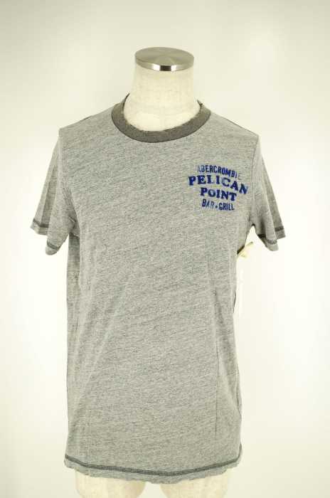 Abercrombie & Fitch （アバクロンビーアンドフィッチ） USED加工　フロッキープリント　トリムTシャツ メンズ トップス