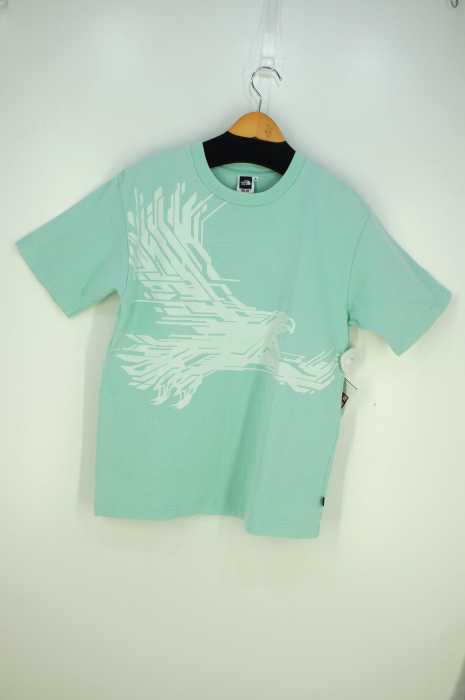 THE NORTH FACE (ザノースフェイス) SKY デザイナーコラボ天竺プリントTシャツ メンズ トップス