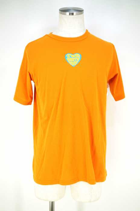 THE NORTH FACE (ザノースフェイス) プリントTシャツ メンズ トップス