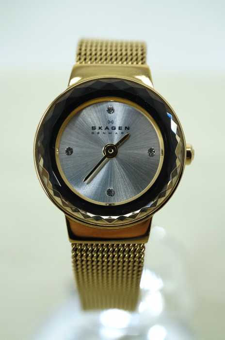 SKAGEN （スカーゲン） PERSPECTIV SKW2186 腕時計 レディース ファッション雑貨