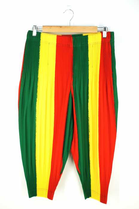 HOMME PLISSÉ ISSEY MIYAKE （オムプリッセ イッセイミヤケ） ラスタカラー メンズ パンツ