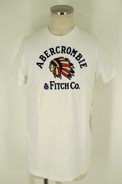 Abercrombie & Fitch （アバクロンビーアンドフィッチ） インディアンフェルトTシャツ メンズ トップス