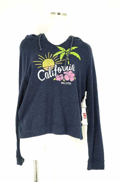 Hollister （ホリスター） プルオーバーパーカー レディース トップス