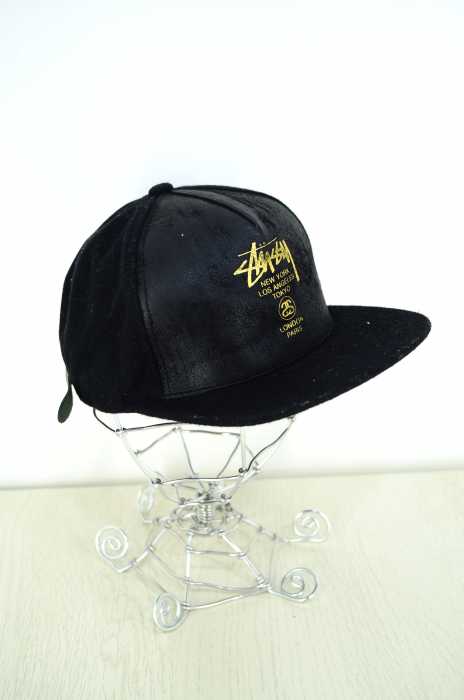 STUSSY （ステューシー） 6パネルキャップ メンズ 帽子