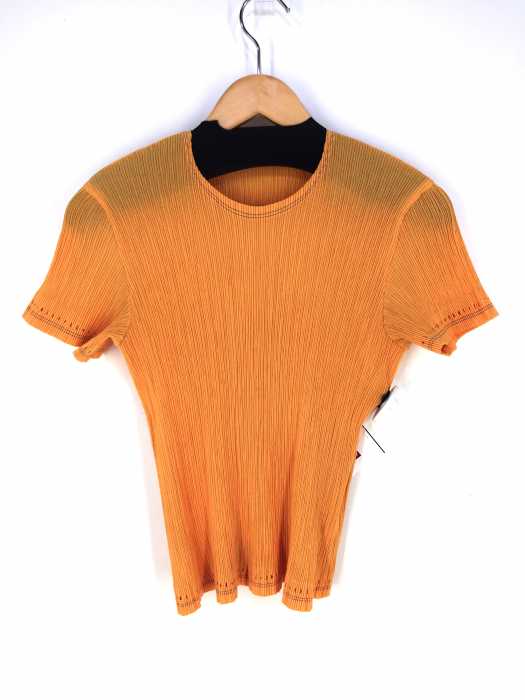 ISSEY MIYAKE(イッセイミヤケ) クルーネック プリーツトップス レディース トップス