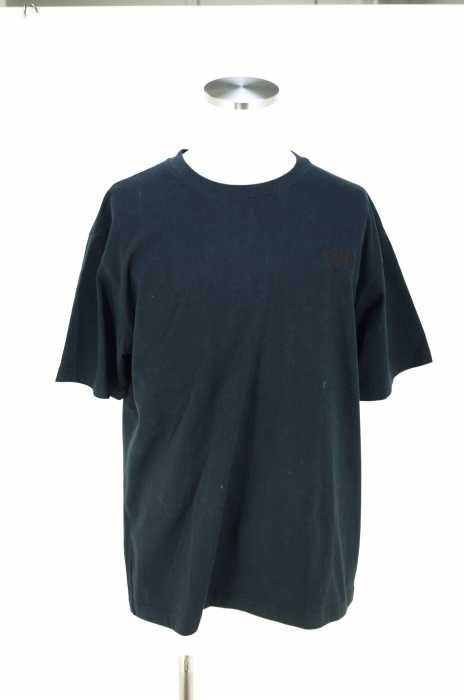 THE NORTH FACE (ザノースフェイス) S/S SILHOUETTE TEE ショートスリーブ シルエットティー メンズ トップス