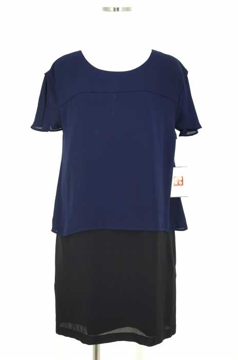 BARNEYS NEWYORK （バーニーズニューヨーク） バックジップシフォンワンピース レディース ワンピース