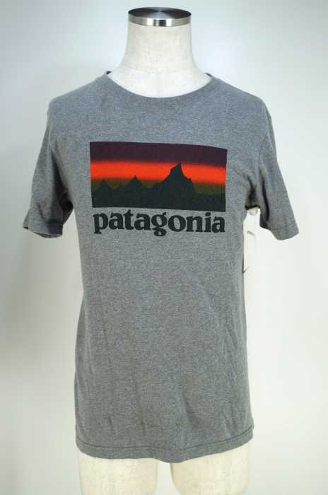 patagonia （パタゴニア） メンズ トップス