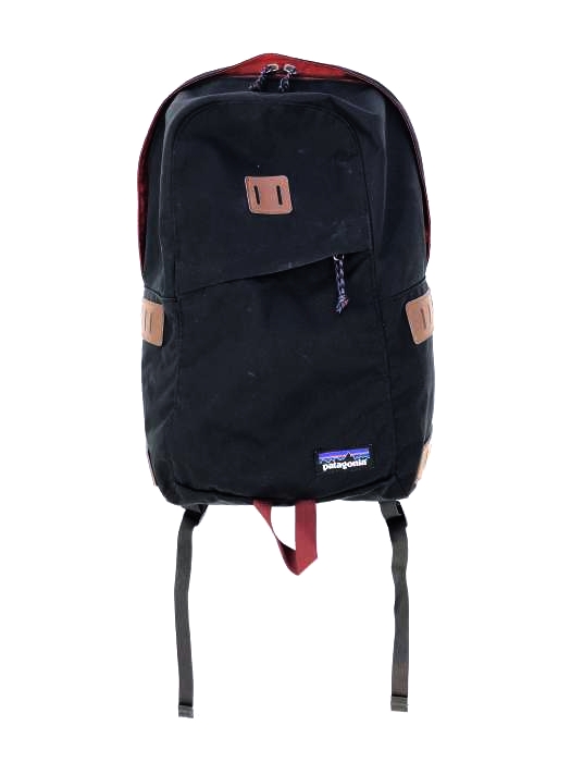 patagonia(パタゴニア) DAY PACK メンズ バッグ