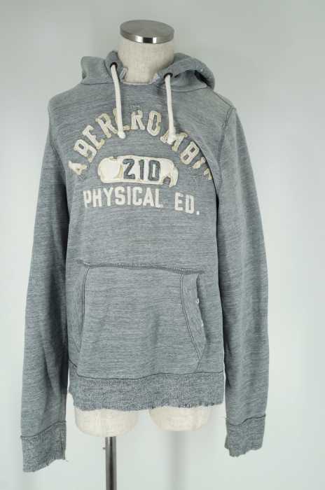 Abercrombie & Fitch （アバクロンビーアンドフィッチ） ワッペン付きプルオーバースウェットパーカー メンズ トップス