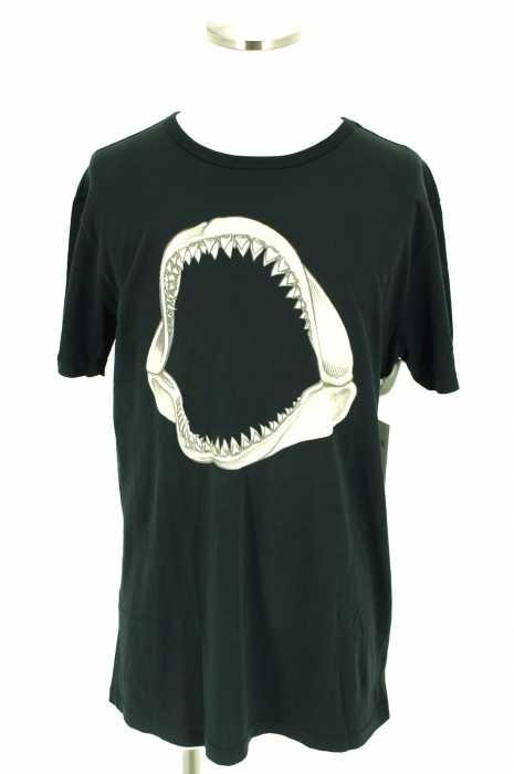 VISSLA （ヴィスラ） プリントTシャツ メンズ トップス