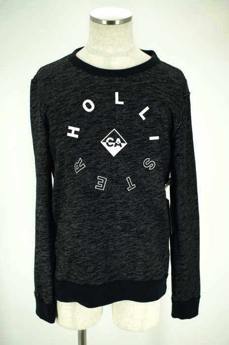 Hollister (ホリスター) ロゴプリント 霜降りスウェット トップス メンズ トップス