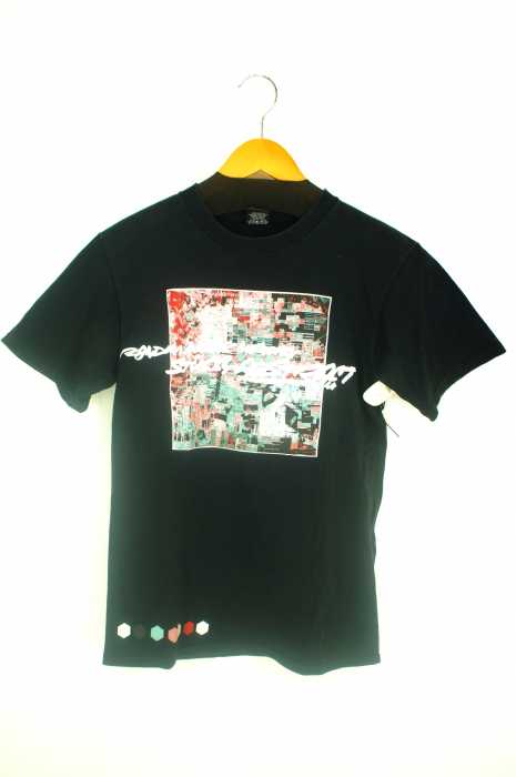 STUSSY （ステューシー） フロント　プリント　Tシャツ メンズ トップス