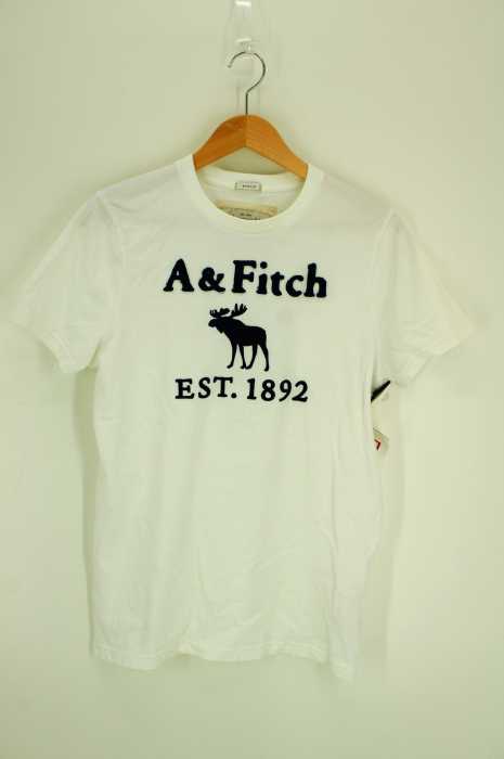 Abercrombie & Fitch(アバクロンビーアンドフィッチ) フロント刺繍Tシャツ メンズ トップス