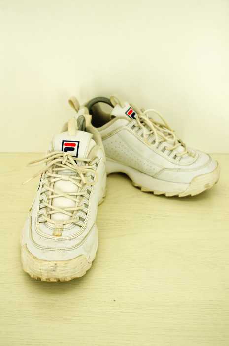 FILA (フィラ) DISRUPTOR 2 ダッドシューズ メンズ シューズ