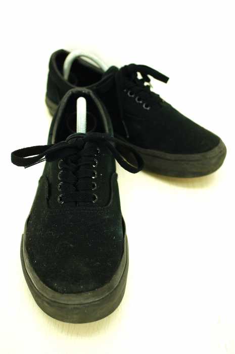 VANS (バンズ ) ERA メンズ シューズ