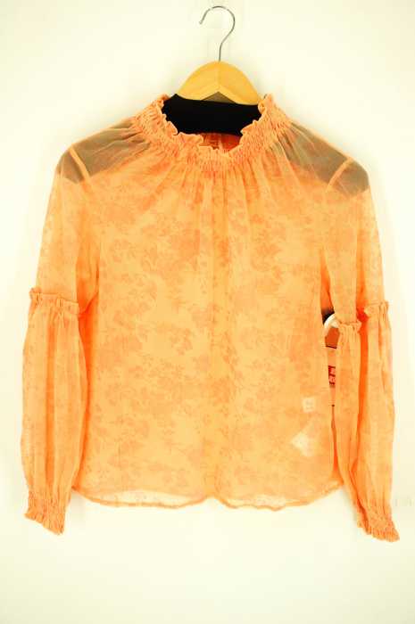 Ray BEAMS （レイビームス） メッシュブラウス レディース トップス