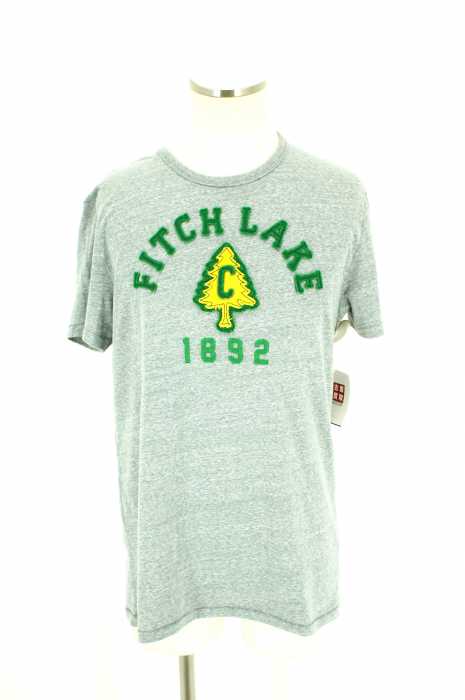 Abercrombie & Fitch (アバクロンビーアンドフィッチ) クルーネック半袖Tシャツ メンズ トップス