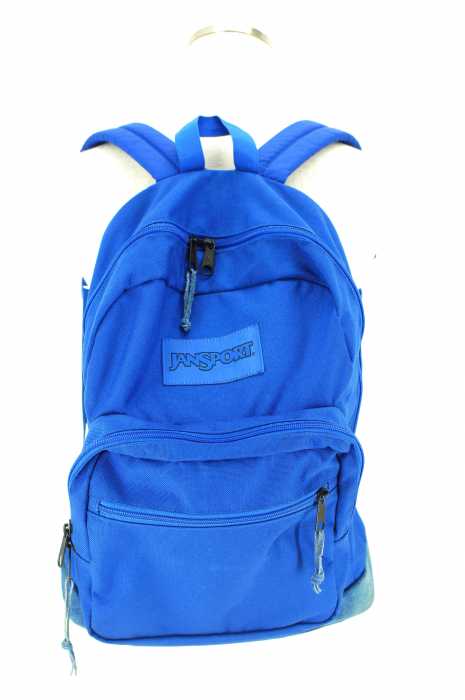 JanSport （ジャンスポーツ） 底スエード バックパック リュック メンズ バッグ