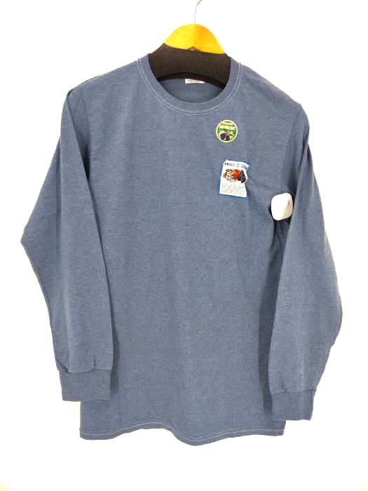 FRUIT OF THE LOOM（フルーツオブザルーム） フルーツ染めTシャツ メンズ トップス