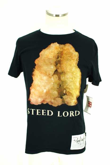 wesc （ウィーエスシー） STEED LORD T-shirt メンズ トップス